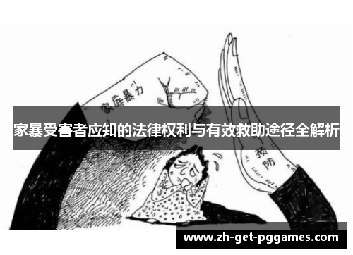 家暴受害者应知的法律权利与有效救助途径全解析