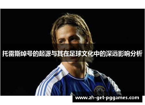 托雷斯绰号的起源与其在足球文化中的深远影响分析